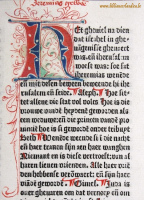 Delftse-1477-6