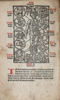 MHvHooch (1533) Dierenriem