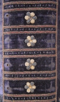 DA (1608) Rug